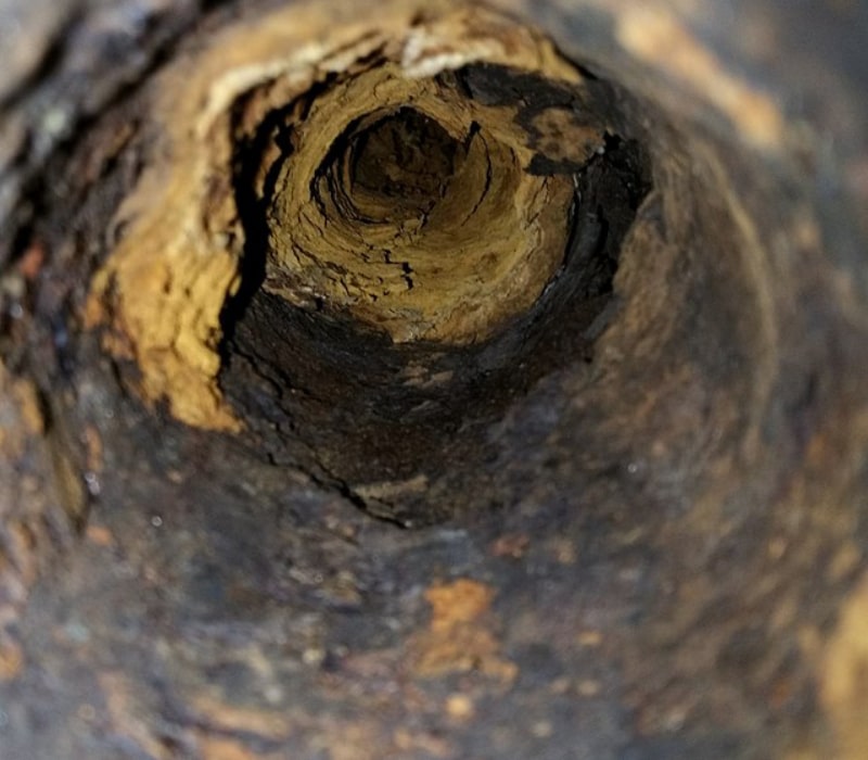 Carbonado-Sewer-Cam-Inspection